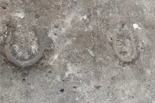 11 Clyde St, Wayne Township, PA 16117 - Photo 9