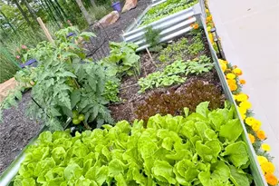 257 Stoup Rd, Adams Township, PA 16046 - Photo 47