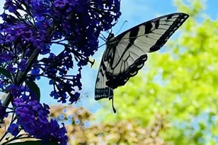 82 Mystic Harbor, Bradford Woods, PA 15015 - Photo 45