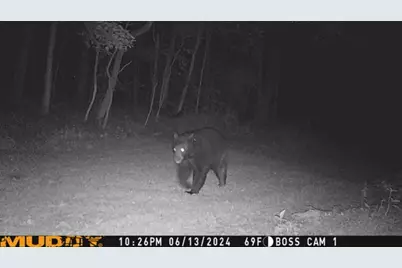 180 Hemlock Rd, Fairview Township, PA 16050 - Photo 25