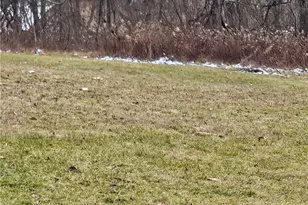 2505 Lot 2 Guffey, North Huntingdon, PA 15642 - Photo 3