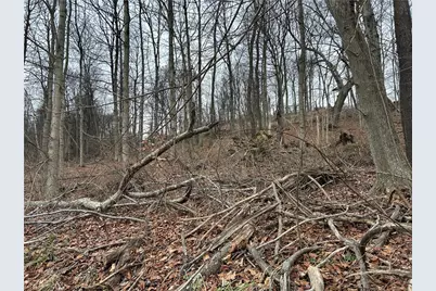 Bieda Lot Davis School Road, South Strabane, PA 15301 - Photo 3