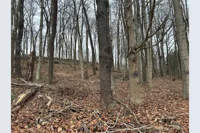 Bieda Lot Davis School Road, South Strabane, PA 15301 - Photo 5