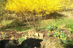 3936 Laurel Oak Cir, Murrysville, PA 15668 - Photo 37