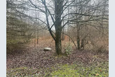 395 Dermond Road, Hermitage, PA 16148 - Photo 23