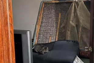 1142 Hamilton Ave, Farrell, PA 16121 - Photo 3