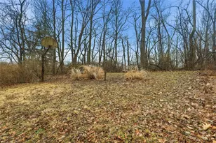 2471 Fife Dr, Pittsburgh, PA 15241 - Photo 41