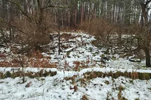 845 Mottern Rd, Punxsutawney Area School District, PA 15767 - Photo 31