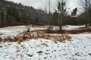 845 Mottern Rd, Punxsutawney Area School District, PA 15767 - Photo 3