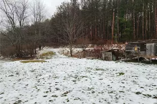 845 Mottern Rd, Punxsutawney Area School District, PA 15767 - Photo 9