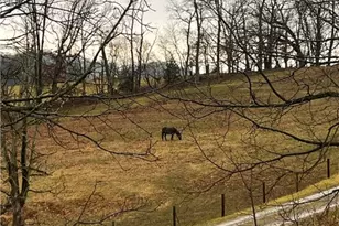 380 Northgate Dr, Washington Township, PA 15613 - Photo 41