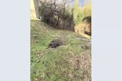 416 Walnut Ave, Clairton, PA 15025 - Photo 19