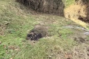 416 Walnut Ave, Clairton, PA 15025 - Photo 19