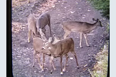 235 Pine Knob Rd, South Union Township, PA 15445 - Photo 23