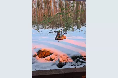 235 Pine Knob Rd, South Union Township, PA 15445 - Photo 29