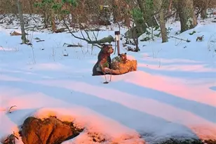 235 Pine Knob Rd, South Union Township, PA 15445 - Photo 29