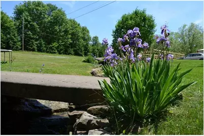 332 Lessig Rd, Gilpin Township, PA 15656 - Photo 31