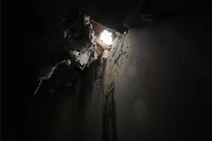 832 Oak Ave, Rochester, PA 15074 - Photo 31