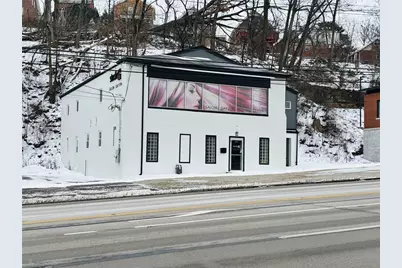 3919 Saw Mill Run Blvd., Pittsburgh, PA 15277 - Photo 1