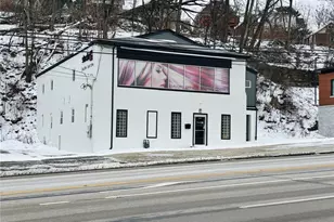 3919 Saw Mill Run Blvd, Pittsburgh, PA 15277 - Photo 1