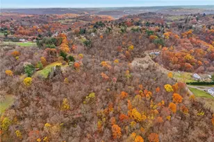 1076 Saxonburg Blvd, Pittsburgh, PA 15116 - Photo 23