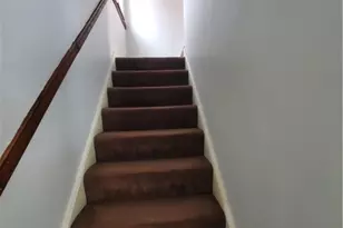 728 Mayville Ave, Pittsburgh, PA 15226 - Photo 5