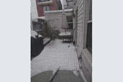 1718 Fox Way, Pittsburgh, PA 15203 - Photo 11