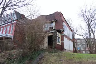 1215 W North Ave, Pittsburgh, PA 15233 - Photo 3