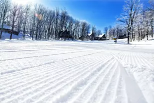 1918 S Ridge Ct, Hidden Valley, PA 15502 - Photo 39