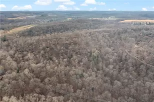 235 Murdocksville Rd, Hanover Township, PA 15026 - Photo 23