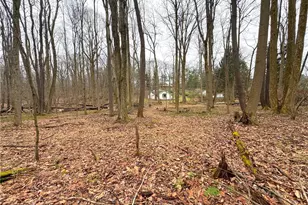 671 Solomon Temple Rd, Unity Township, PA 15650 - Photo 5