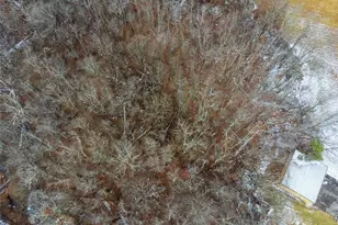 4930 Ashbaugh Rd, Murrysville, PA 15668 - Photo 43