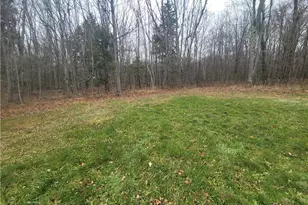 2055 Markleton School Rd, Black Township, PA 15557 - Photo 39