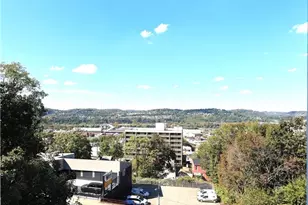 3367 Ridgway, Pittsburgh, PA 15213 - Photo 17