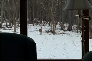 2700 21st Ave, White Township, PA 15010 - Photo 27