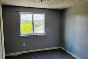 169 Union St, Bridgeville, PA 15017 - Photo 19