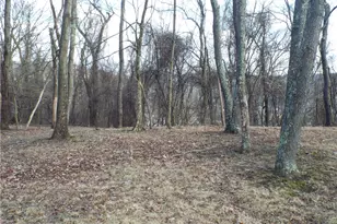 1 Jeanne Lee Ln, Brownsville, PA 15417 - Photo 39