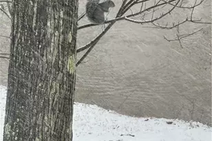 3160 William Flynn Hwy, Slippery Rock, PA 16057 - Photo 31