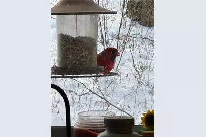 3160 William Flynn Hwy, Slippery Rock, PA 16057 - Photo 31