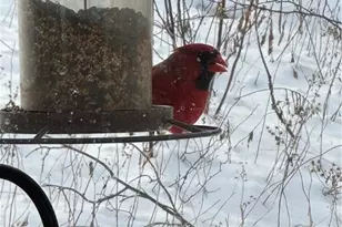 3160 William Flynn Hwy, Slippery Rock, PA 16057 - Photo 31