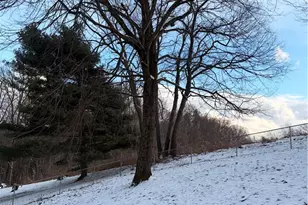 120 Lyn Dale Dr, Center Township, PA 16001 - Photo 31