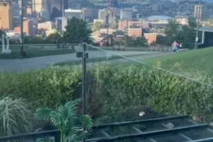 15 Bailey Park Ln, Pittsburgh, PA 15210 - Photo 47