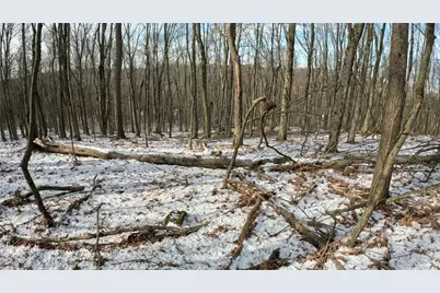 000 N Of Lonesome Hollow Ln, Buffalo Township, PA 16055 - Photo 11