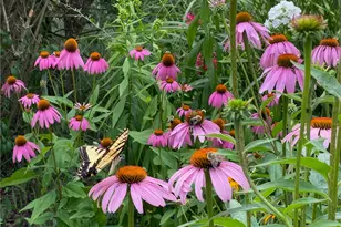 807 Cambridge Dr, Collier Township, PA 15142 - Photo 41