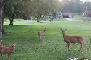 2072 Boyd School Rd, Shenango Township, PA 16157 - Photo 43