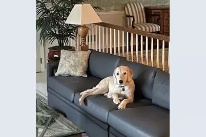 308 Rosslyn Road, Rosslyn Farms, PA 15106 - Photo 45