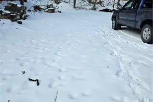 937 Larimer, Wilkins Township, PA 15145 - Photo 7