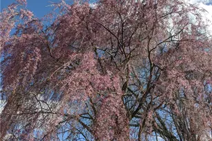 1767 S Eighty Eight Rd, Greensboro, PA 15338 - Photo 43