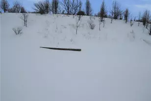 2064 Majestic Dr, North Strabane, PA 15317 - Photo 39