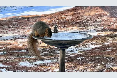 955 Woodhollow Dr #B, Cranberry Township, PA 16066 - Photo 17